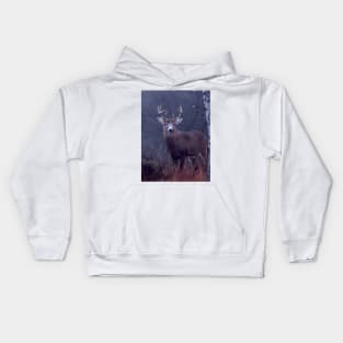 White-tailed buck in Autumn rut Kids Hoodie